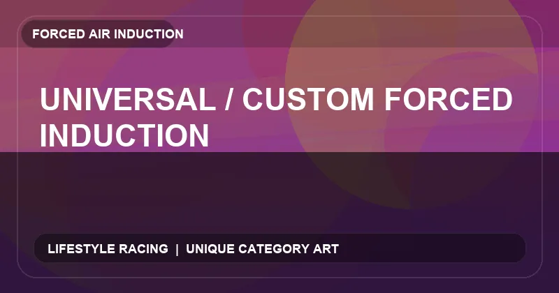 Universal / Custom Forced Induction